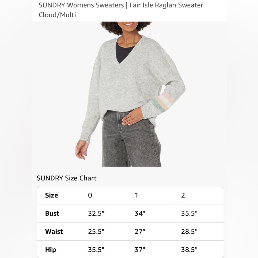 Sundry Light Gray V-Neck Sweater with Pastel Stripe Sleeve - Picture 9 of 9